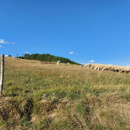 Bnb Bagno Di Bosco Gubbio Exterior foto
