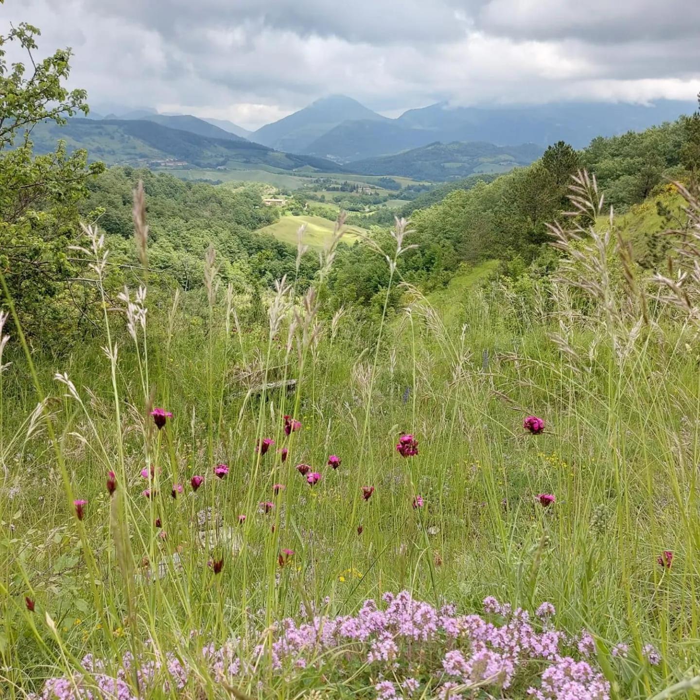 Bnb Bagno Di Bosco Gubbio Exterior foto